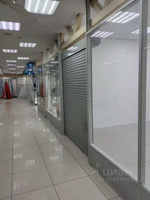 Торговая площадь в Вологодская область, Вологда Ленинградская ул., 81 ... - Фото 1