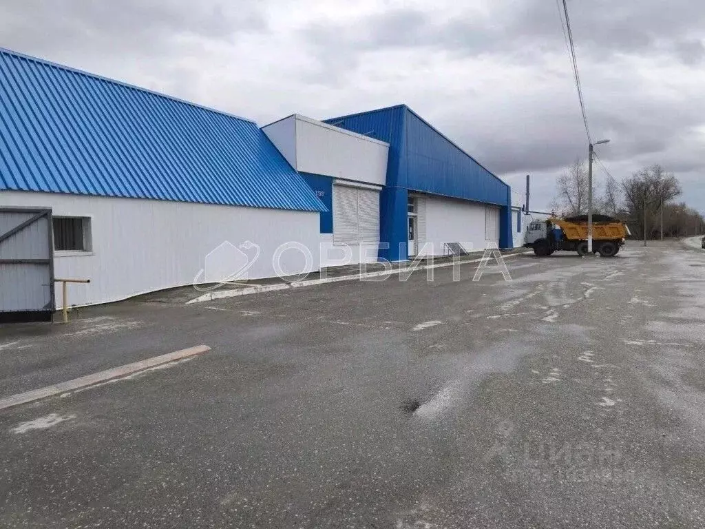 Помещение свободного назначения в Тюменская область, Тобольск ул. ... - Фото 1