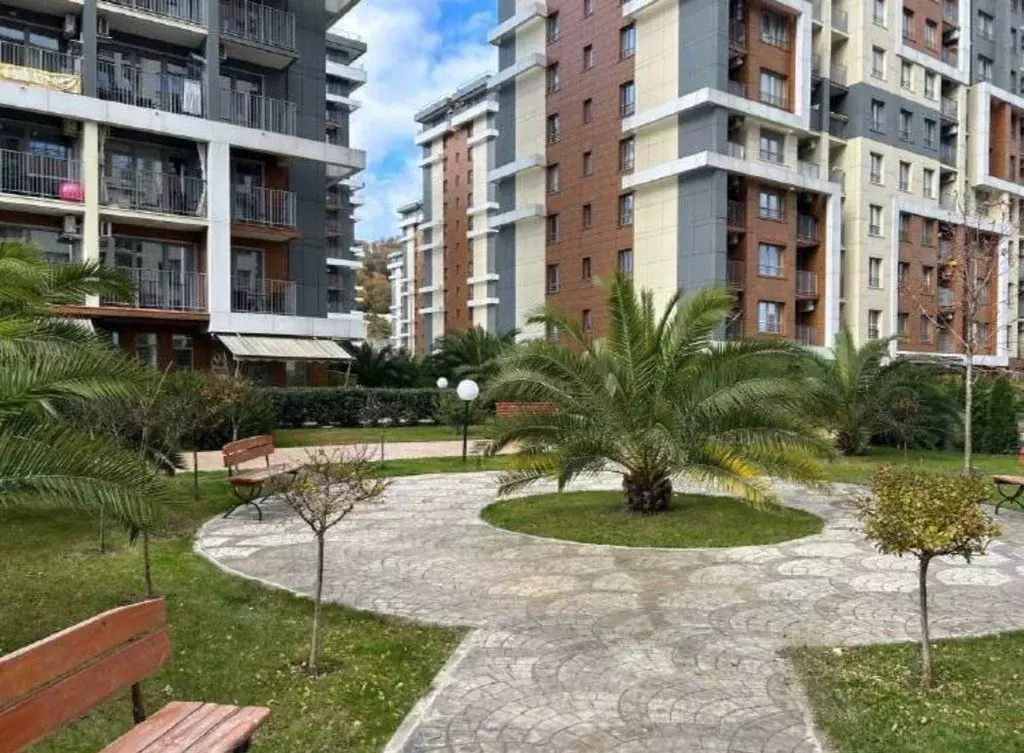 Студия Краснодарский край, Сочи городской округ, Дагомыс пгт ул. ... - Фото 2