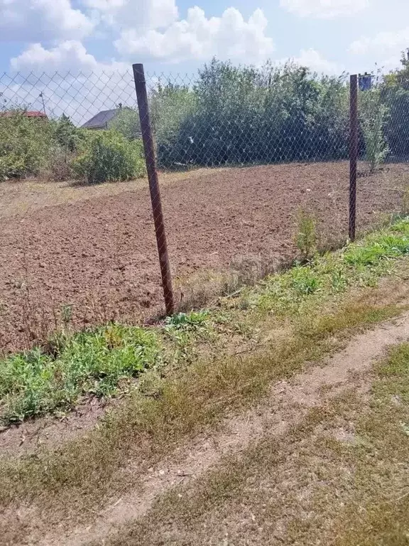 Участок в Оренбургская область, Оренбургский район, Нежинский ... - Фото 1