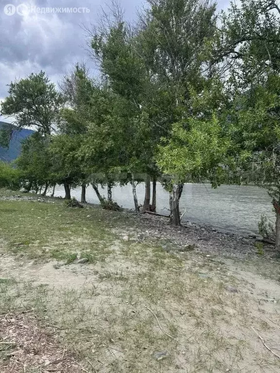 Участок в Улаганский район, село Коо (13.56 м) - Фото 2