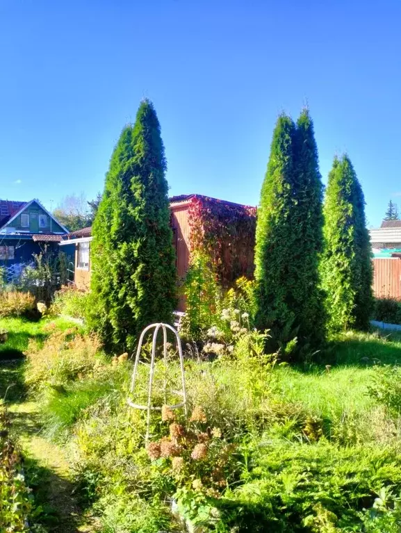 Дом в Ленинградская область, Кировский район, Мгинское городское ... - Фото 1