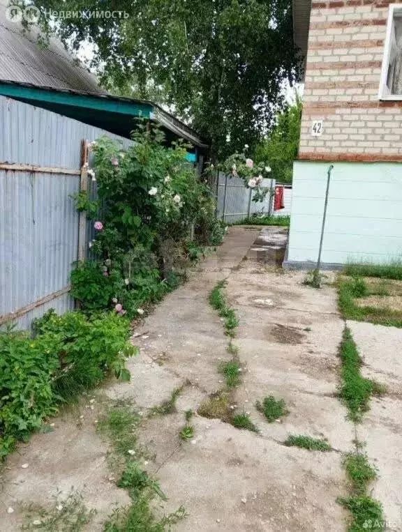 Дом в Тамбовская область, Мичуринский муниципальный округ, село ... - Фото 2