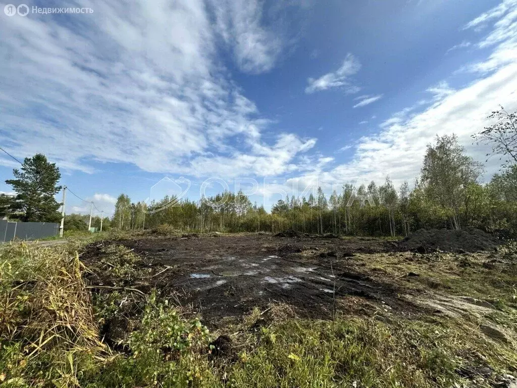 Участок в Тюменский муниципальный округ, СНТ Маяк (6.15 м) - Фото 1