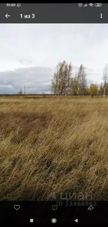 Участок в Новгородская область, Новгородский район, Борковское с/пос, ... - Фото 0