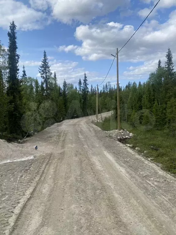Участок 10 сот. (СНТ, ДНП) - Фото 0