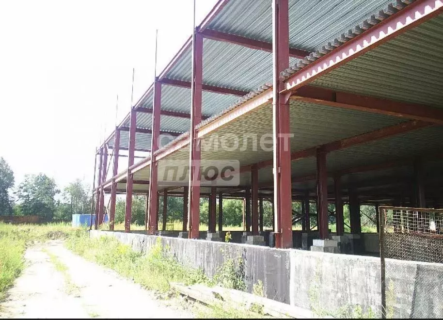 Торговая площадь в Московская область, Щелково Центральная ул., 102 ... - Фото 2