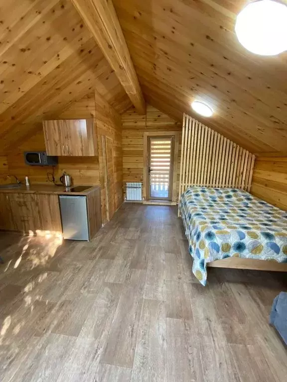 Дом в Алтай, Майминский район, Манжерокское с/пос, с. Озерное ул. ... - Фото 1