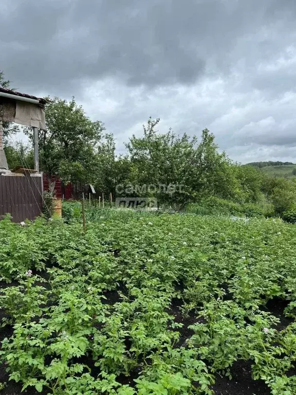 Участок в Башкортостан, Октябрьский Дубки-1 СНТ,  (4.5 сот.) - Фото 1