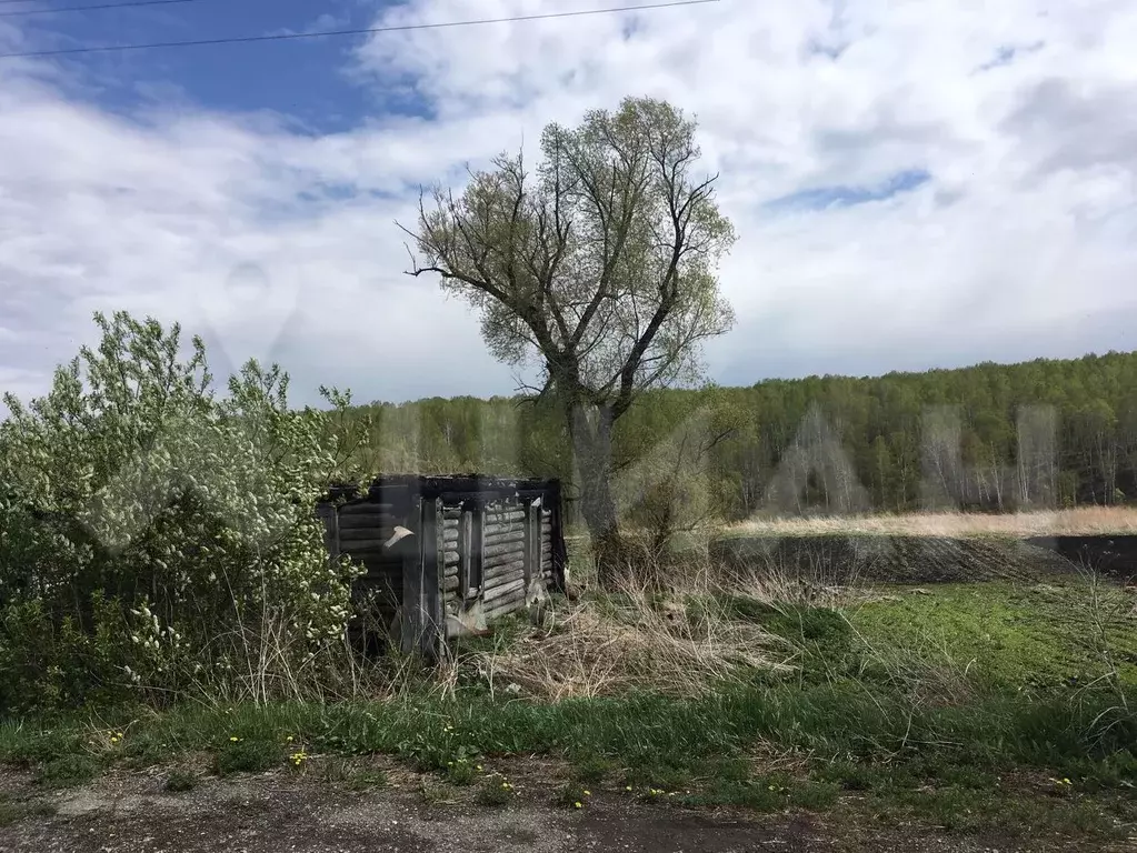 Погода село окунево кемеровская область промышленновский район. Пор-Искитим Кемеровская область. Пор-Искитим Кемеровская область на карте. История деревни пор-Искитим Промышленновского района. Усть Тарсьма карьер.