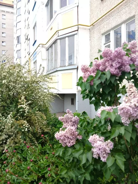 Продаётся 1-к квартира, 44.9 м - Фото 0