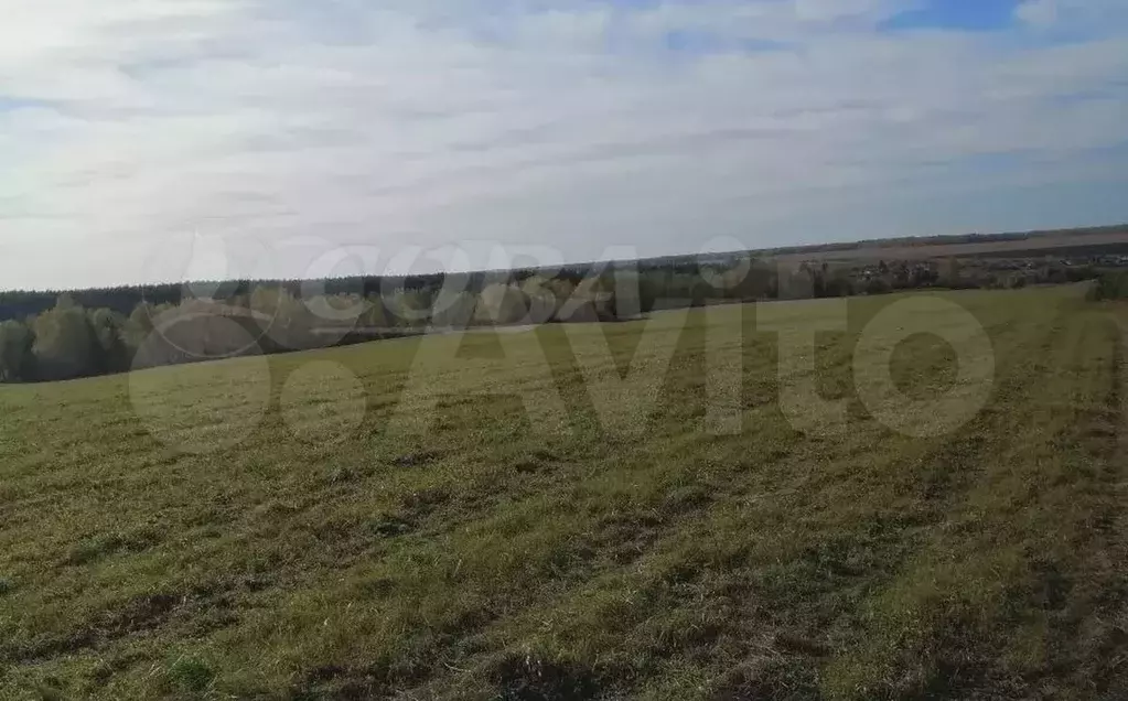 Участок 35 га (СНТ, ДНП) - Фото 0