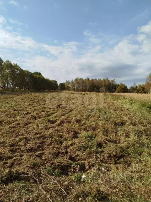 Участок в Калужская область, Малоярославецкий район, Березовка с/пос, ... - Фото 1