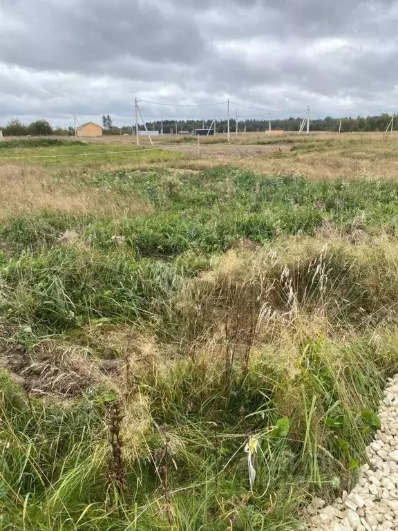 Участок в Ленинградская область, Ломоносовский район, Лопухинское ... - Фото 2