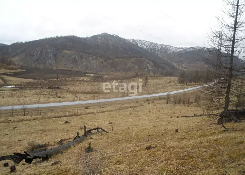 Участок в Усть-Канский район, село Усть-Кан (1500 м) - Фото 1