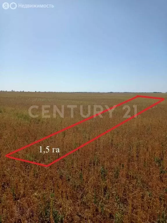 Участок в Сакский район, село Добрушино (152.4 м) - Фото 1