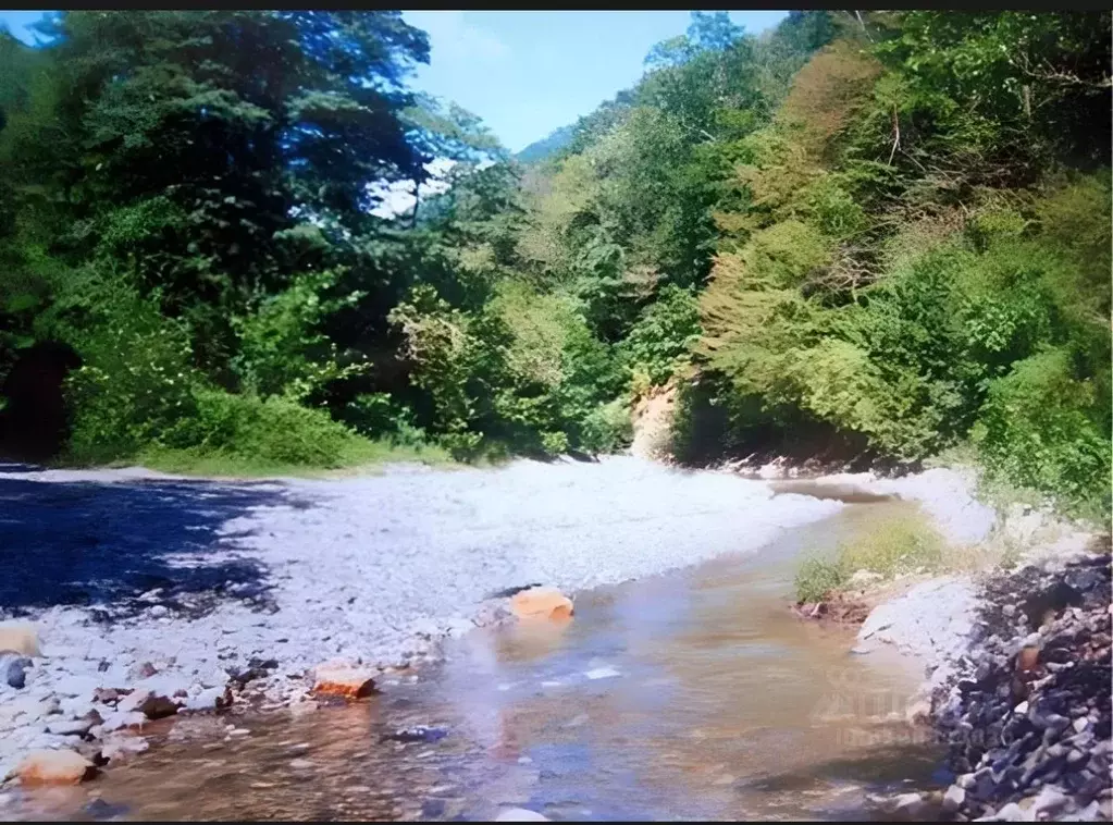 Участок в Краснодарский край, Сочи городской округ, с. Беранда ул. ... - Фото 1