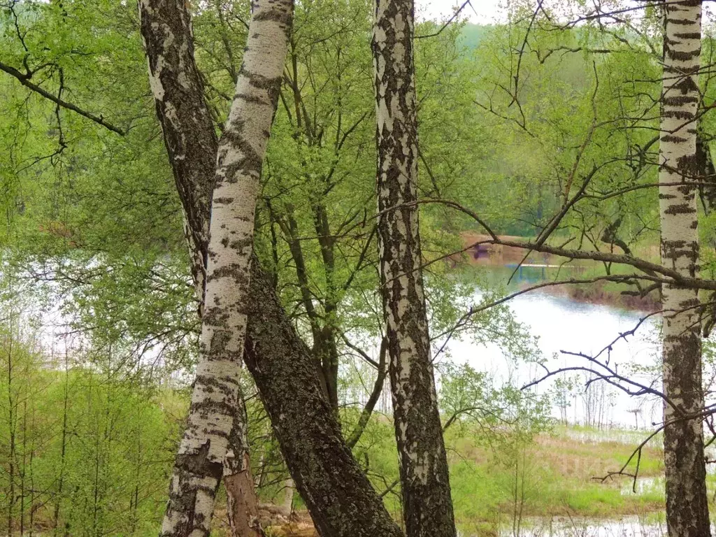 Участок в Московская область, Павловский Посад  (9.0 сот.) - Фото 2