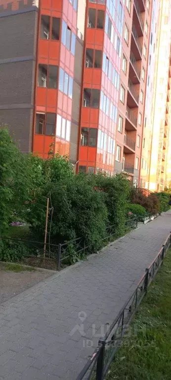 1-к кв. Ленинградская область, Мурино Всеволожский район, ул. Шоссе в ... - Фото 0