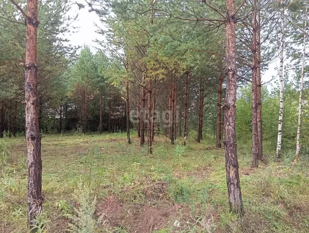 Участок в Свердловская область, Нижний Тагил ул. Семейная (6.0 сот.) - Фото 0