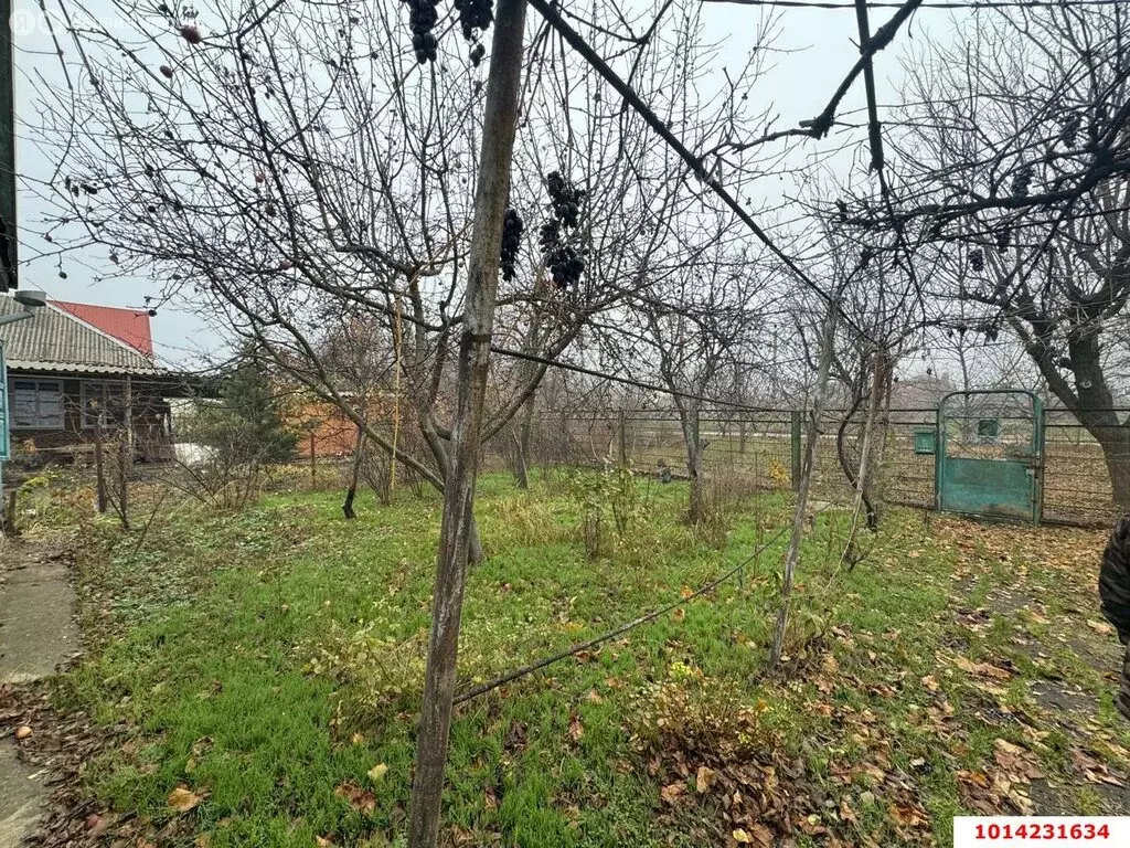 Дом в станица Родниковская, Майкопская улица, 287 (39.8 м) - Фото 0