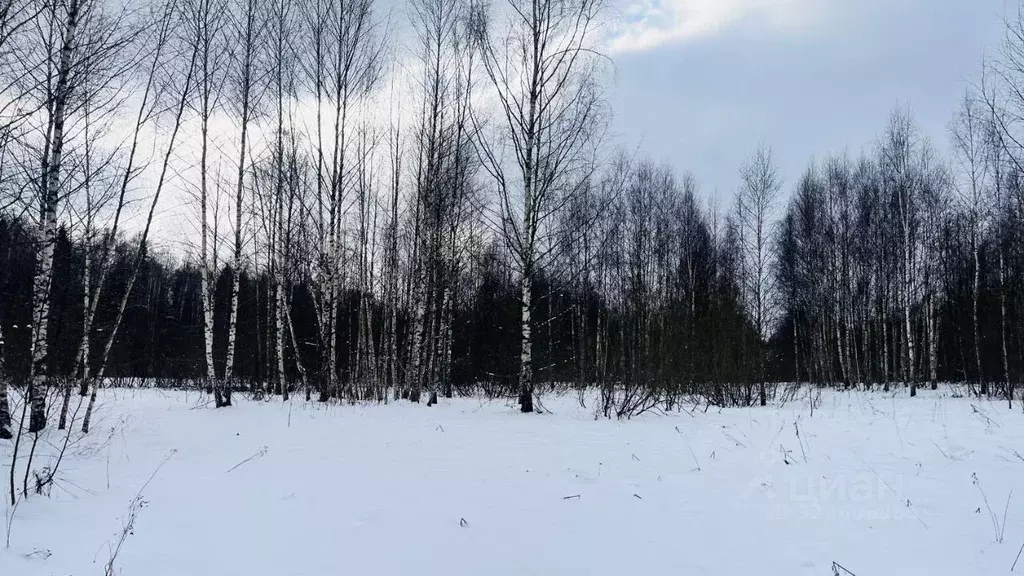 Участок в Московская область, Дмитровский муниципальный округ, Икша ... - Фото 1