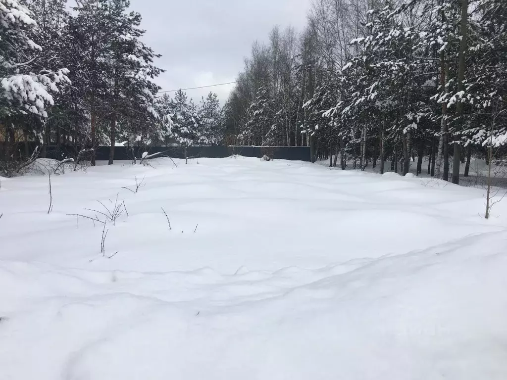 Участок в Московская область, Пушкино Новая Деревня мкр,  (4.0 сот.) - Фото 1