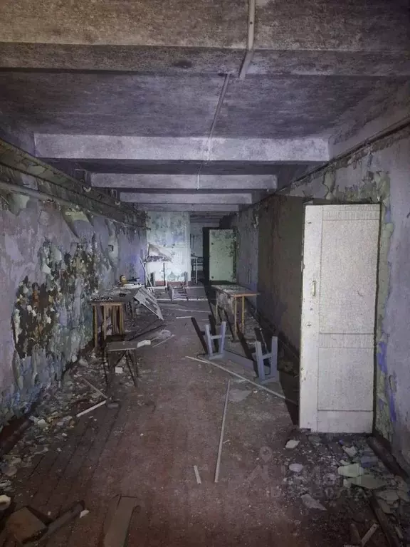 Помещение свободного назначения в Карелия, Сегежа Лесная ул. (3313 м) - Фото 0