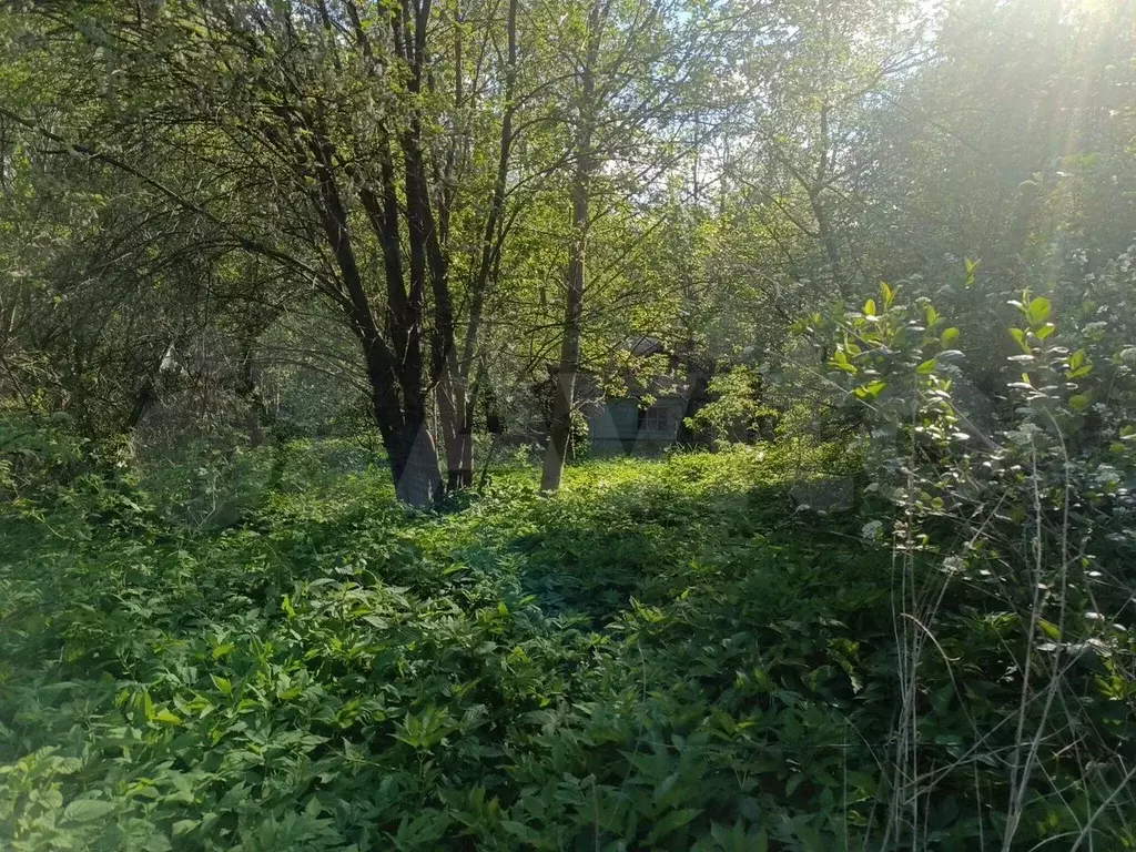 Участок 4,3 сот. (СНТ, ДНП) - Фото 0