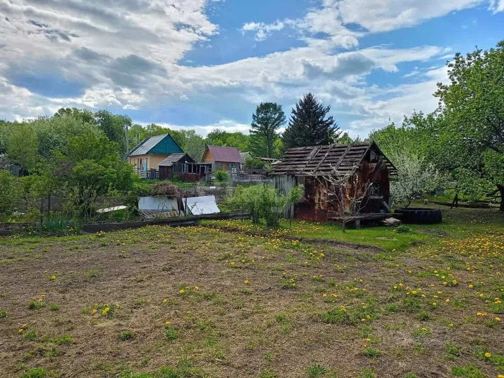 Участок в Амурская область, Благовещенск Маслобойного завода СТ,  (5.3 ... - Фото 1