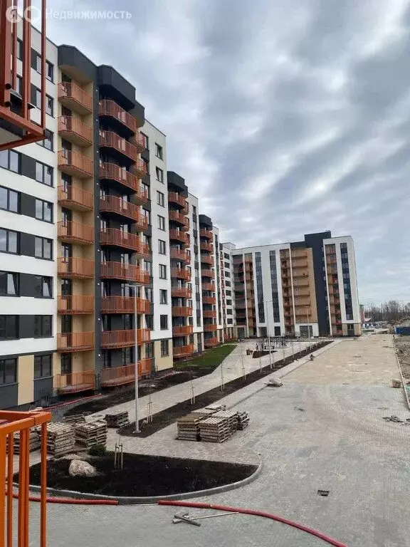 Помещение свободного назначения (2.9 м) - Фото 2