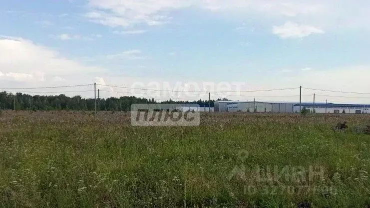 Участок в Тюменская область, Тюменский муниципальный округ, с. ... - Фото 1