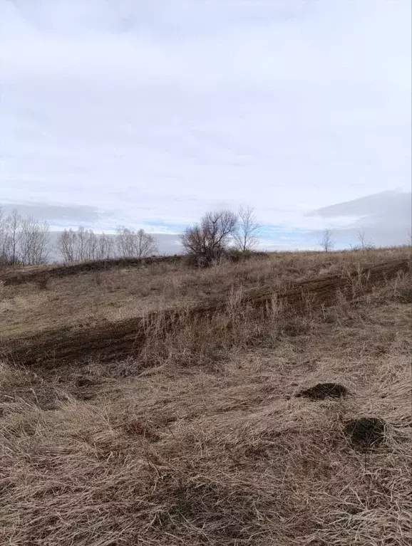 Участок в Саратовская область, д. Долгий Буерак, Гермес кп  (1.0 сот.) - Фото 1