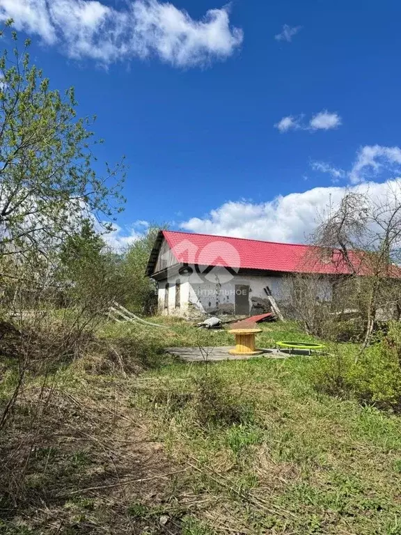 Участок в Новосибирская область, Новосибирский район, Станционный ... - Фото 1