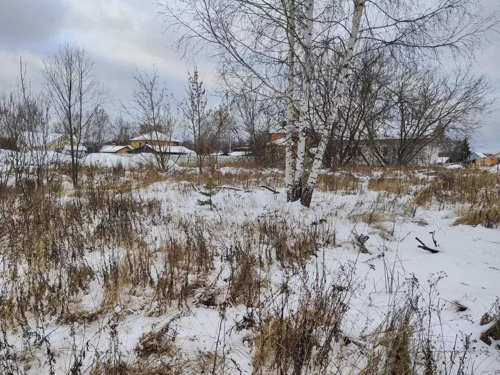 Участок в Московская область, Ликино-Дулево Орехово-Зуевский городской ... - Фото 1