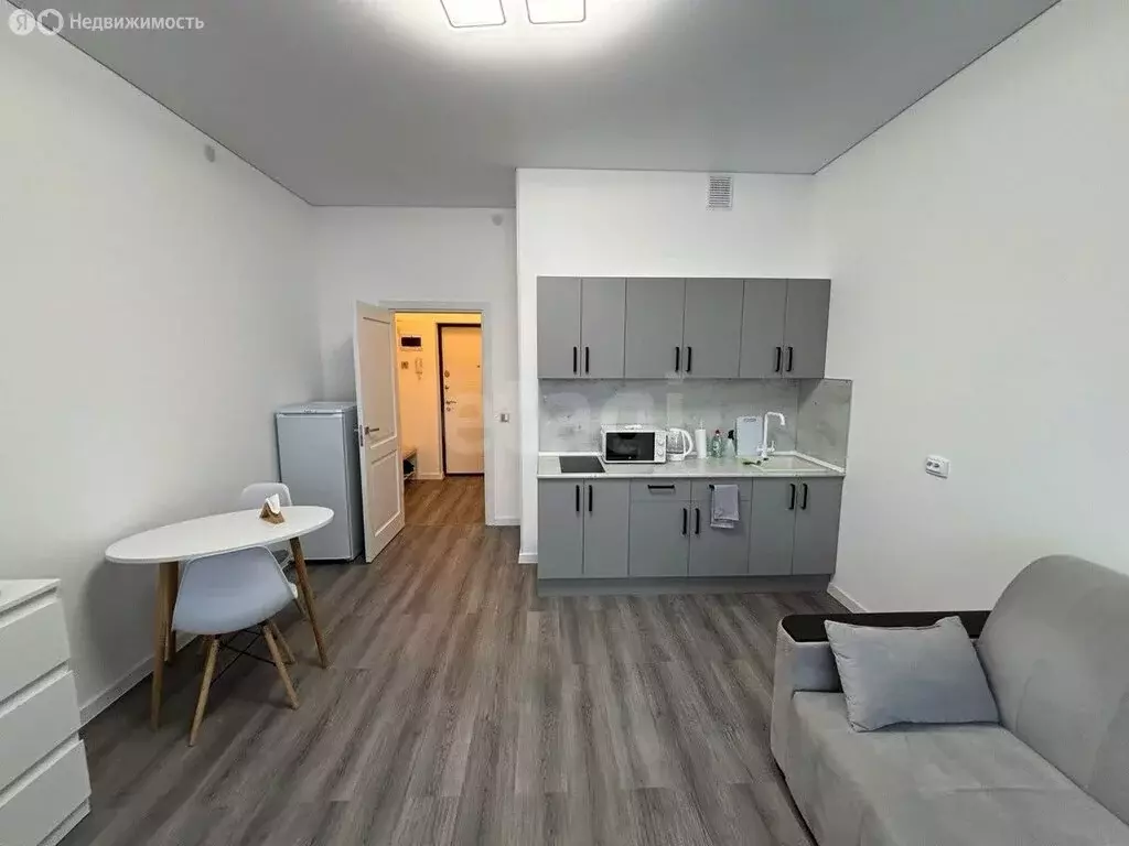 Квартира-студия: Санкт-Петербург, проспект Ветеранов, 210 (23.9 м) - Фото 2