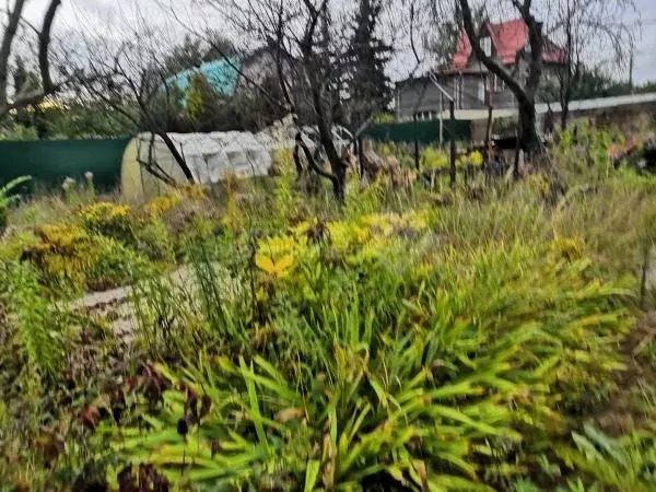 Продается участок в СНТ Нектар - Фото 0