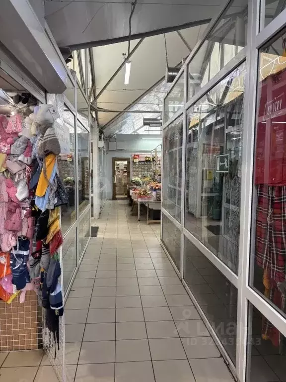 Торговая площадь в Псковская область, Псковский район, Завеличенская ... - Фото 2