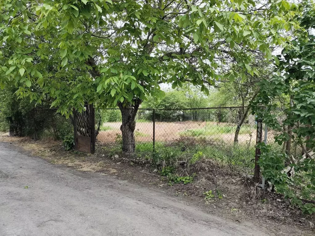 Участок в Ростовская область, Неклиновский район, с. Николаевка, ... - Фото 0