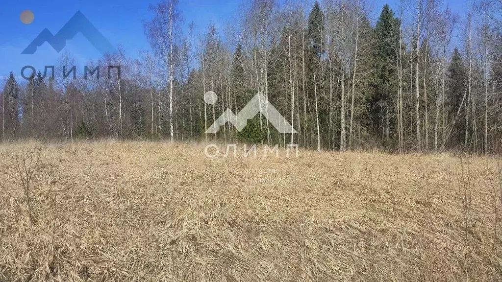 Участок в Вологодская область, с. Погорелово  (15.0 сот.) - Фото 1