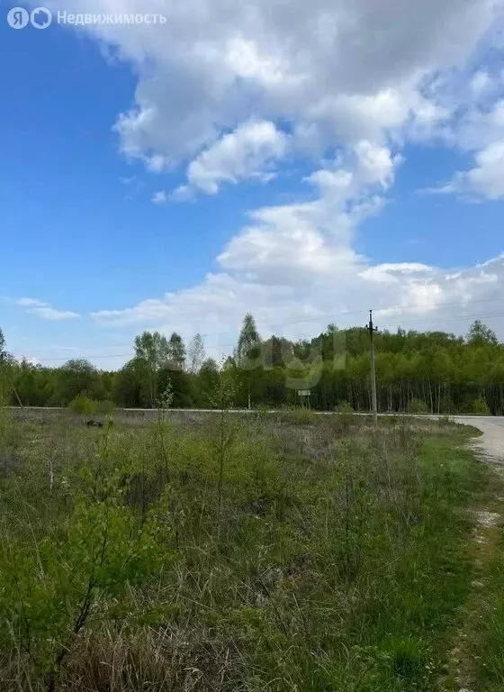 Участок в Тульская область, городской округ Алексин, село Гурово, ... - Фото 1