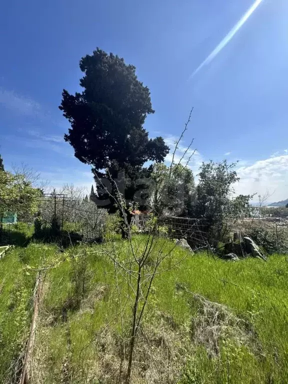 Участок в Крым, Алушта муниципальный округ, с. Лазурное  (9.0 сот.) - Фото 1