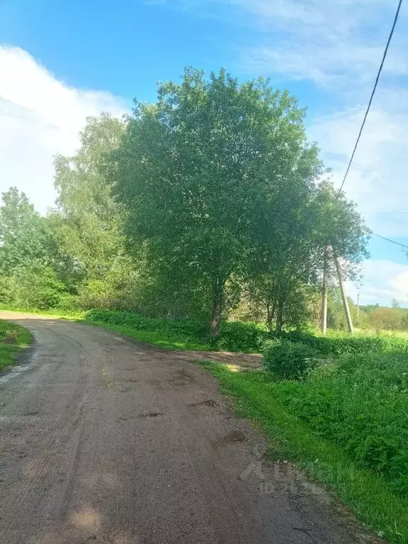 Участок в Новгородская область, Батецкий район, д. Косово  (14.0 сот.) - Фото 1