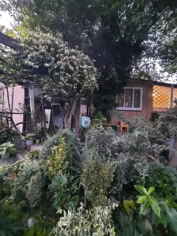 Дом в Краснодарский край, Геленджик городской округ, Бетта хут. ул. ... - Фото 1