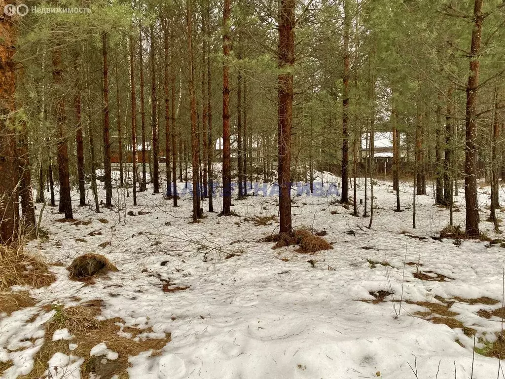 Участок в село Купанское, 2-я Железнодорожная улица (8.5 м) - Фото 0