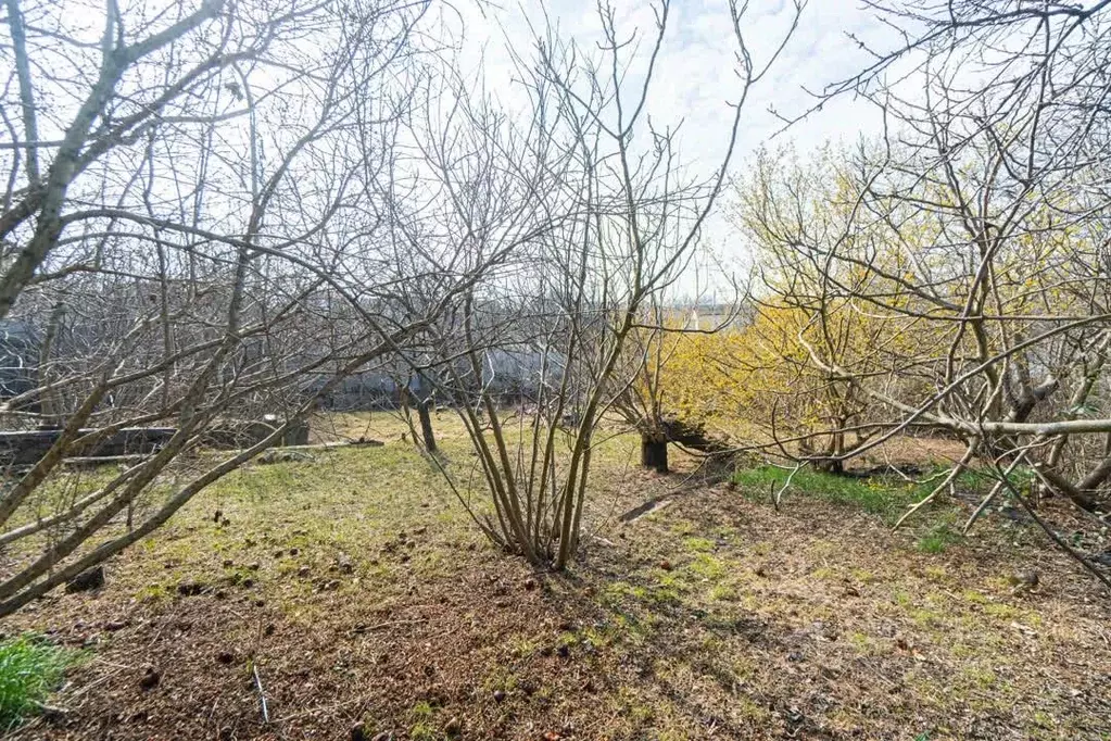 Дом в Севастополь Маяк-1 садовое товарищество, ш. Фиолентовское (37 м) - Фото 1