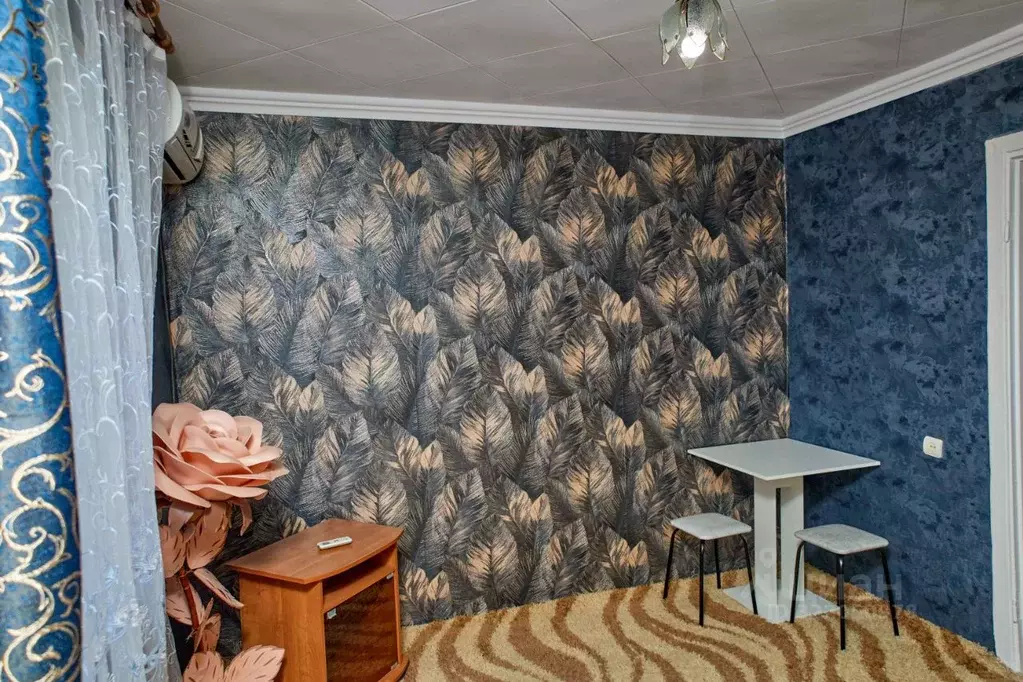 Студия Ростовская область, Волгодонск ул. Ленина, 91 (18.0 м) - Фото 1