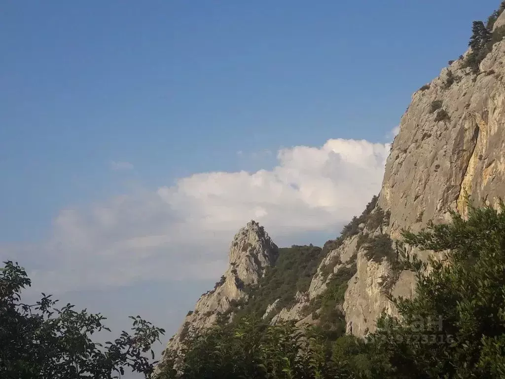 Комната Крым, Ялта муниципальный округ, Симеиз пгт ул. Героя ... - Фото 2