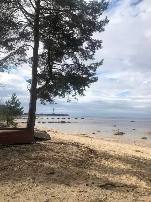 Участок в Ленинградская область, Ломоносовский район, Лебяженское ... - Фото 1