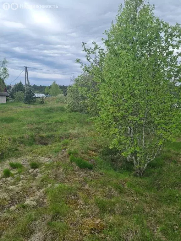 Дом в Новгородская область, Крестецкий муниципальный округ, деревня ... - Фото 1